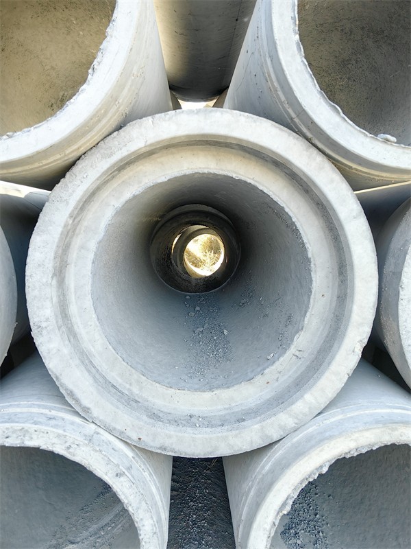 羞羞漫画成人在线观看